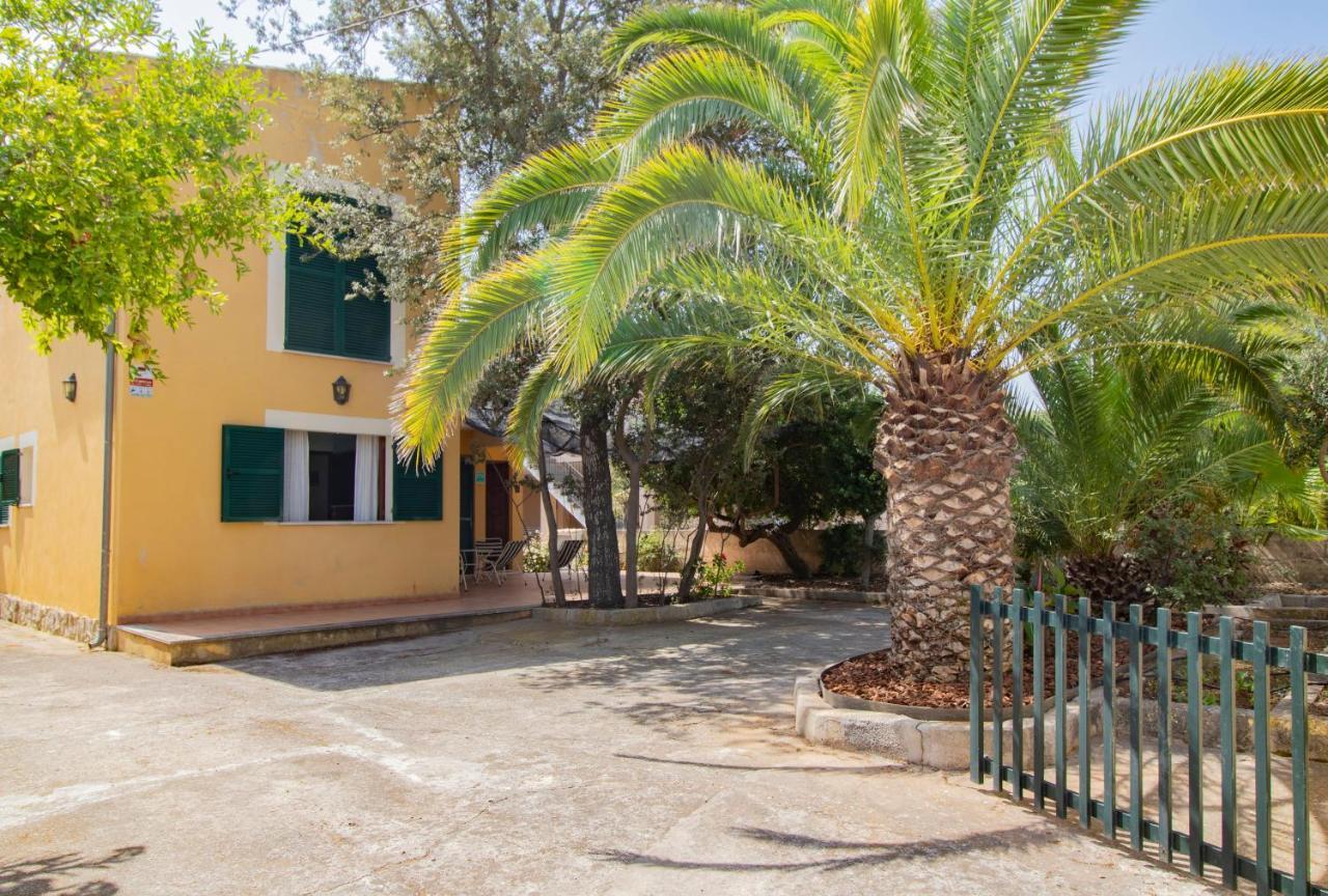 Cami De La Victoria Alcudia (Mallorca)